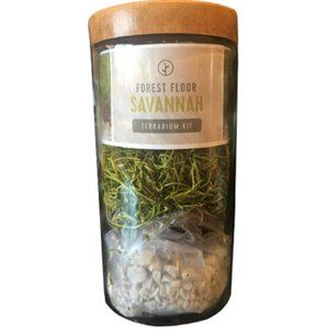 Terrarium Kit - Forest Floor Savannah Ecosystem